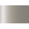 Autolak v spreji Toyota odtieň NEU Marble silver metalíza 375 ml