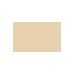 Autolak v spreji Citroen odtieň 283F Beige tropic 400 ml