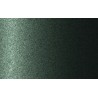 Autolak v spreji Citroen odtieň ERT Vert triton metalíza 375 ml