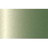 Autolak v spreji Opel odtieň 690R Buchengruen (beech green) metalíza 375 ml