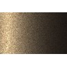 Autolak v spreji Renault odtieň CNW Brun tenakuru metalíza 375 ml