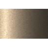 Autolak v spreji Hyundai odtieň W6Y Echo beige metalíza 375 ml