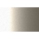 Autolak v spreji Ford odtieň 4F Champagne silver metalíza 375 ml