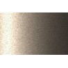 Autolak v spreji Ford odtieň EE Diffused silver metalíza 375 ml
