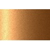Autolak v spreji Ford odtieň EESEXWA Korea sparkling gold metalíza 375 ml