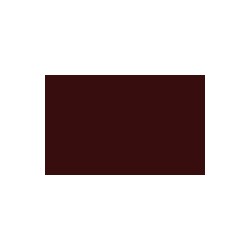 Autolak v spreji Ford odtieň ECAH Dark maroon 400 ml