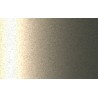 Autolak v spreji Ford odtieň SFPEWWA Light nordic green metalíza 375 ml