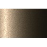Autolak v spreji BMW odtieň WA23 Sonora metalíza 375 ml