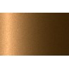 Autolak v spreji BMW odtieň W02 Topasgold metalíza 375 ml