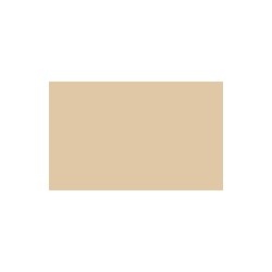 Autolak v spreji Toyota odtieň 4Q0 Yanmer beige 400 ml
