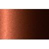 Autolak v spreji Nissan odtieň R10 Sunlit copper (orange 2M) metalíza 375 ml
