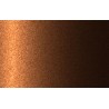 Autolak v spreji Nissan odtieň EAR Orange metalíza 375 ml