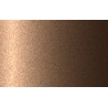 Autolak v spreji Nissan odtieň S42 Antique gold metalíza 375 ml