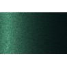 Autolak v spreji Nissan odtieň DW6 Alpine green metalíza 375 ml