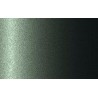 Autolak v spreji Seat odtieň N6 Verde merlin metalíza 375 ml