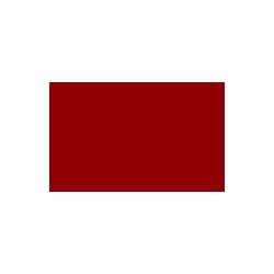 Autolak v spreji Seat odtieň 9M Rojo emocion 400 ml
